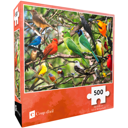 Casse-tête – Oiseaux (500 morceaux)