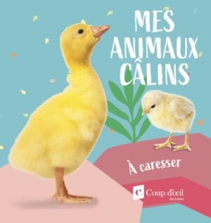 Animaux câlins - Canard
