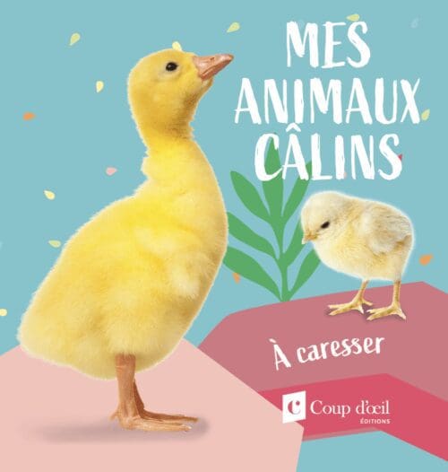 Animaux câlins – Canard