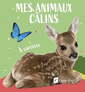 Animaux câlins - Faon
