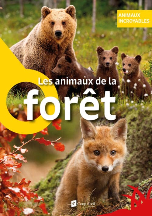 Animaux incroyables – Les animaux de la forêt