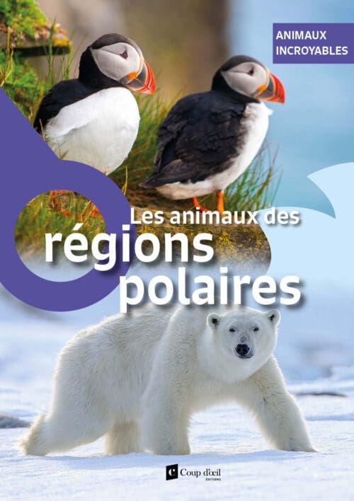 Animaux incroyables – Les animaux des régions polaires