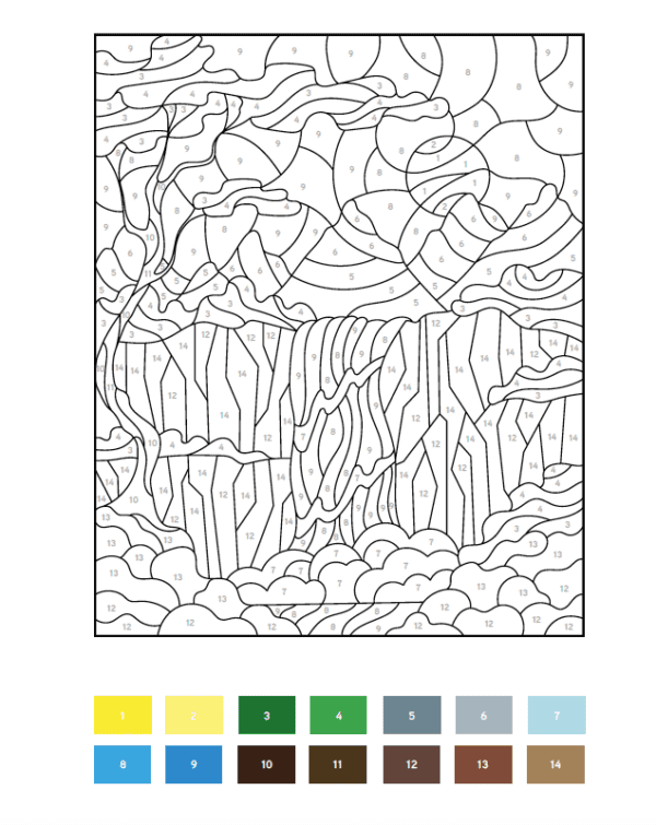 Coloriages par numéros - Botanique – Image 2