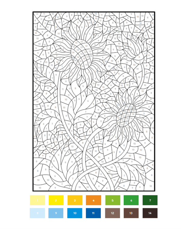 Coloriages par numéros - Botanique – Image 3