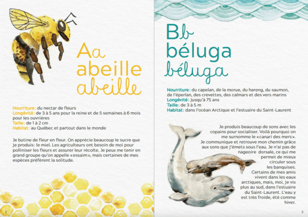 Mon abécédaire des animaux du Québec - édition de luxe – Image 2