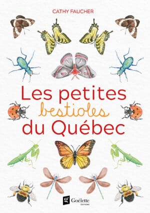 Les petites bestioles du Québec - édition de luxe