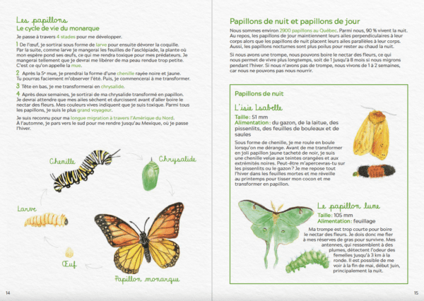Les petites bestioles du Québec - édition de luxe – Image 2
