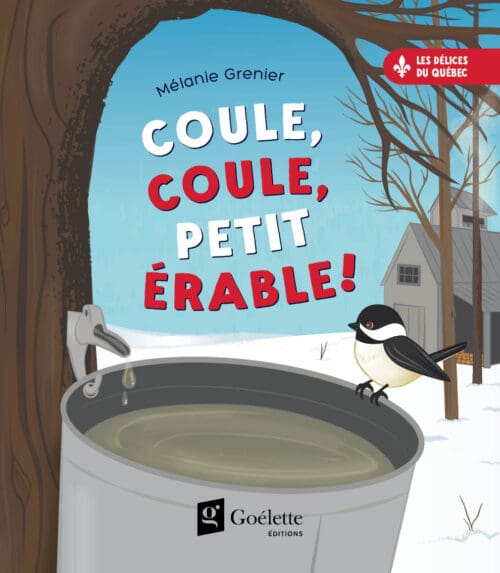 Coule, coule, petit érable