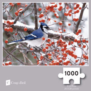 Casse-tête 1000 morceaux - Geai bleu