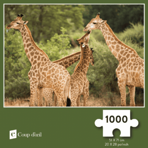 Casse-tête 1000 morceaux - Girafes