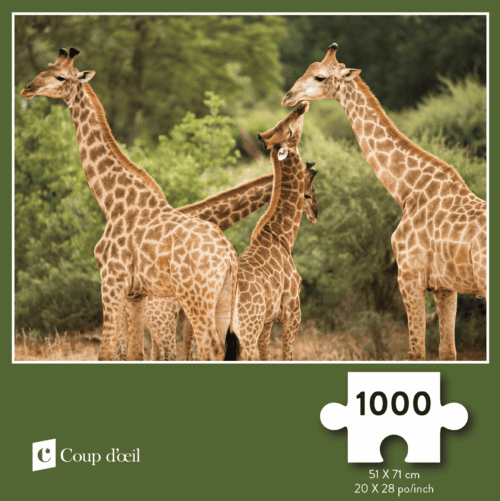 Casse-tête 1000 morceaux – Girafes