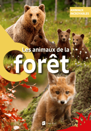 Animaux incroyables - Les animaux de la forĆŖt
