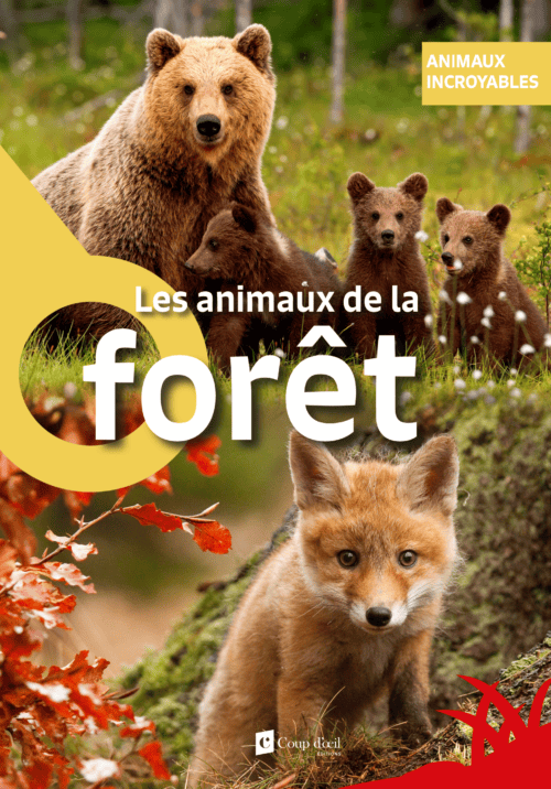 Animaux incroyables – Les animaux de la forêt